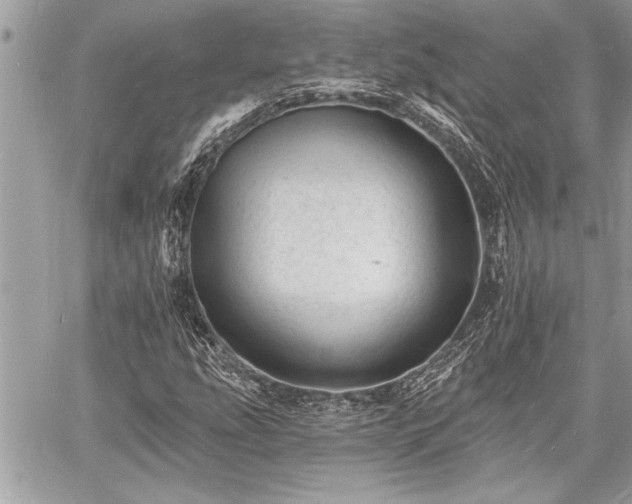 X0000060741207200511141124