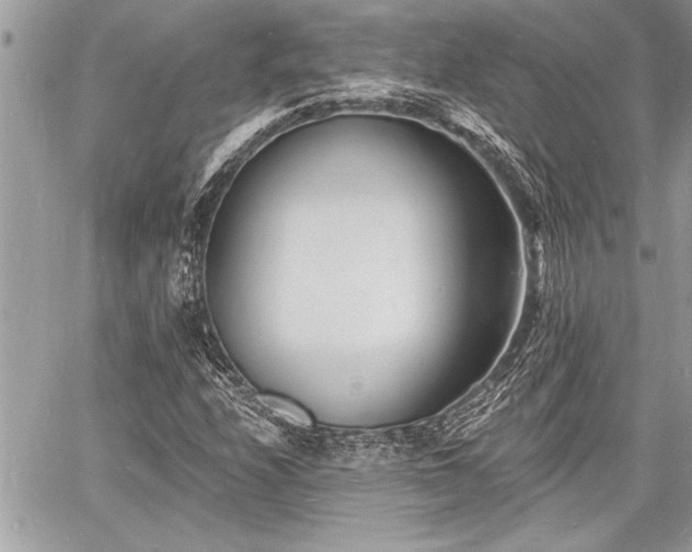 X0000060741208200511141124