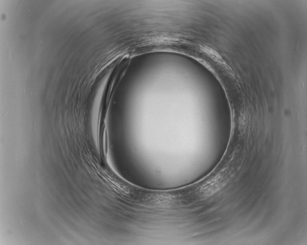 X0000060741209200511141124