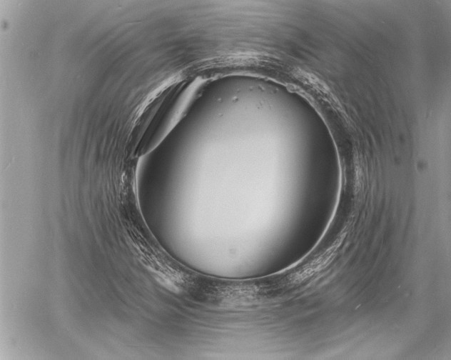 X0000060741210200511141124