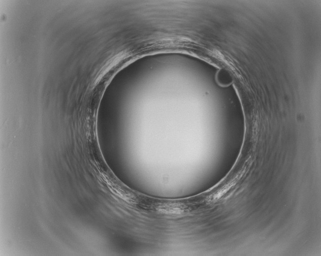 X0000060741211200511141124