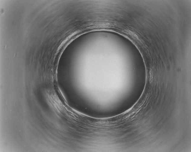 X0000060741212200511141124