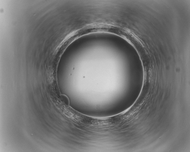 X0000060741213200511141124