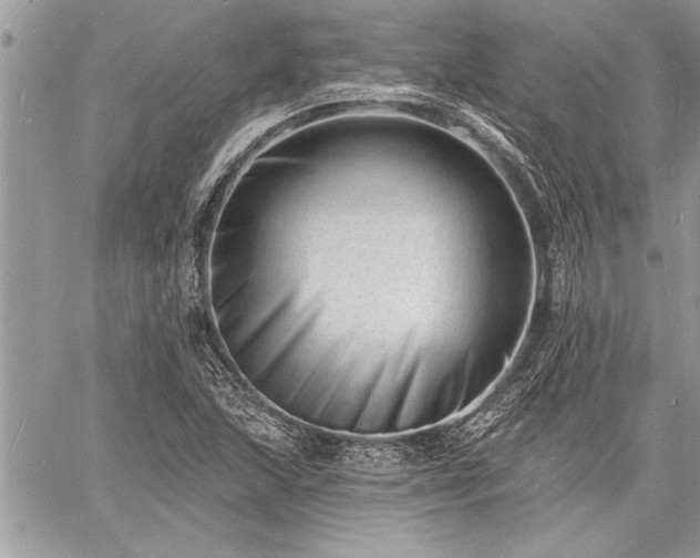 X0000060741215200511141124