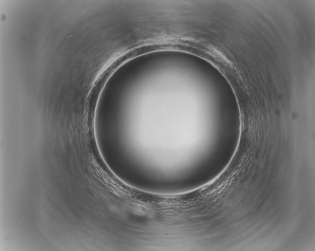 X0000060741216200511141124