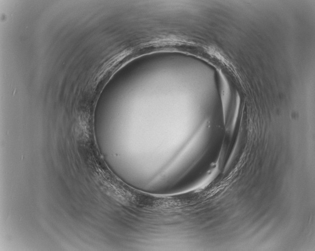 X0000060741217200511141124