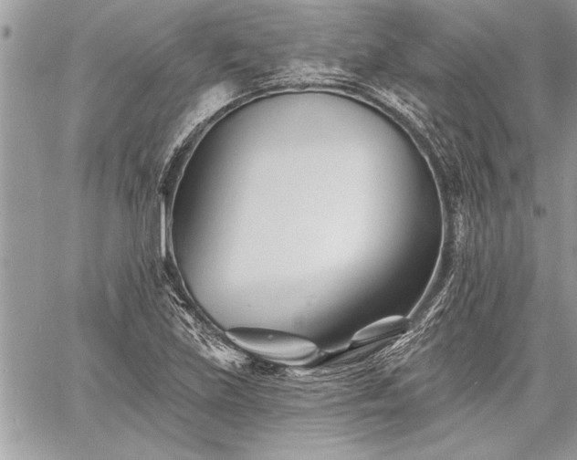 X0000060741219200511141124