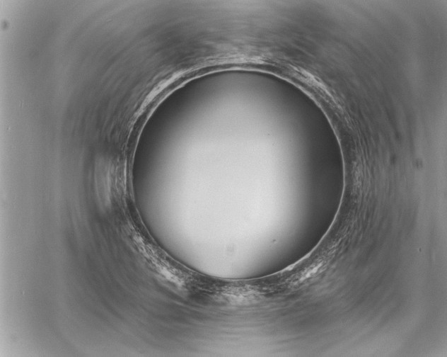 X0000060741220200511141124