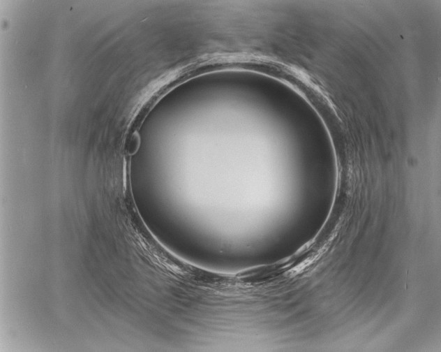 X0000060741221200511141124