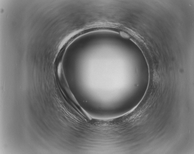 X0000060741222200511141124