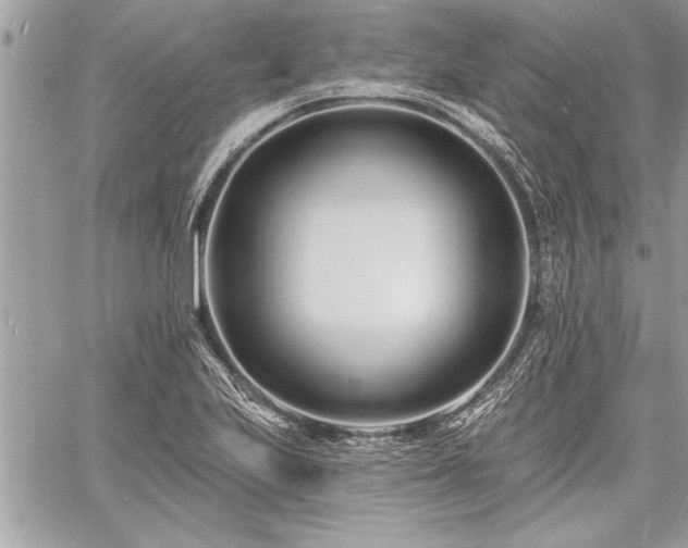 X0000060741223200511141124