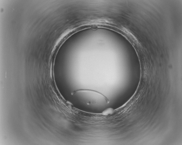 X0000060741224200511141124