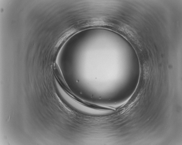 X0000060741225200511141124