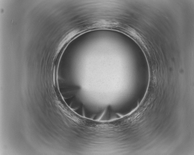 X0000060741227200511141124