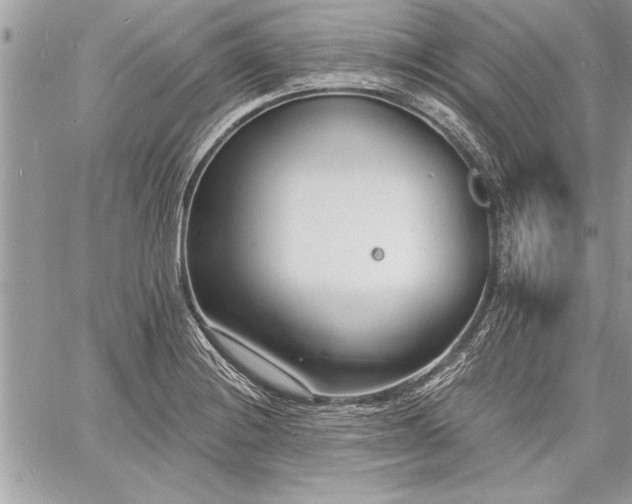 X0000060741228200511141124