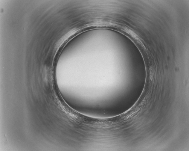 X0000060741229200511141124