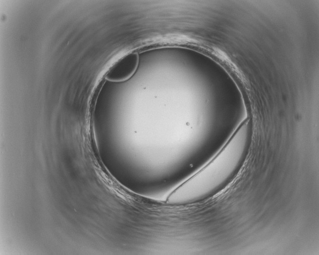 X0000060741232200511141124