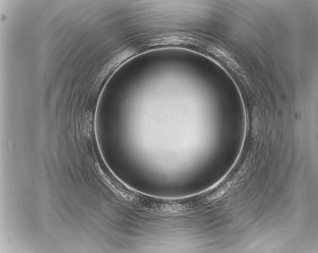 X0000060741233200511141124