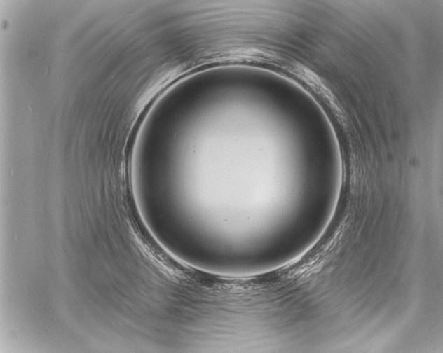 X0000060741234200511141124