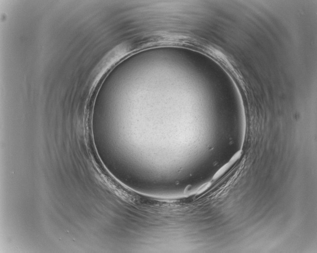 X0000060741235200511141124