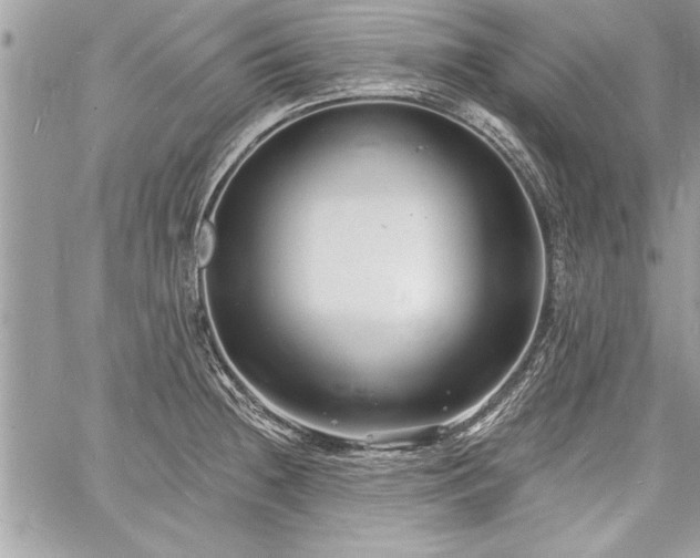 X0000060741236200511141124