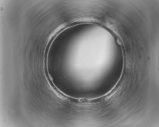 X0000060741237200511141124