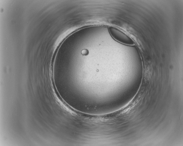 X0000060741239200511141125