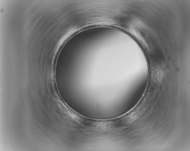 X0000060741240200511141125