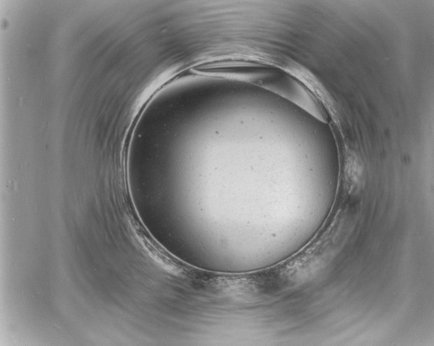 X0000060741242200511141125