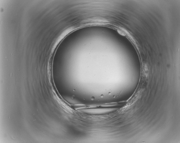 X0000060741243200511141125