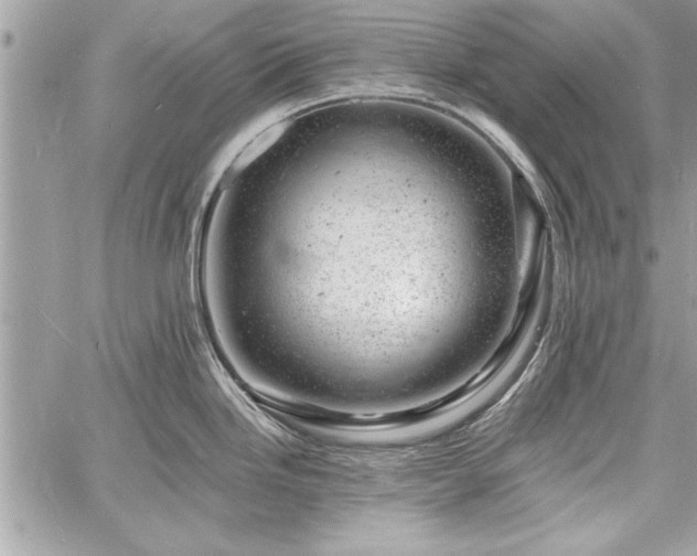 X0000060741246200511141125