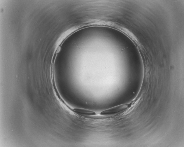 X0000060741247200511141125