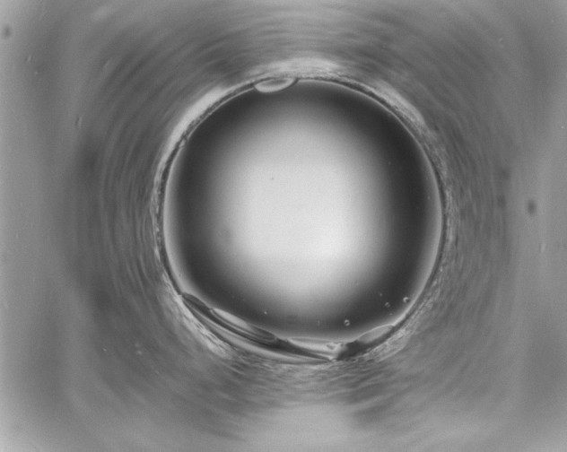 X0000060741248200511141125