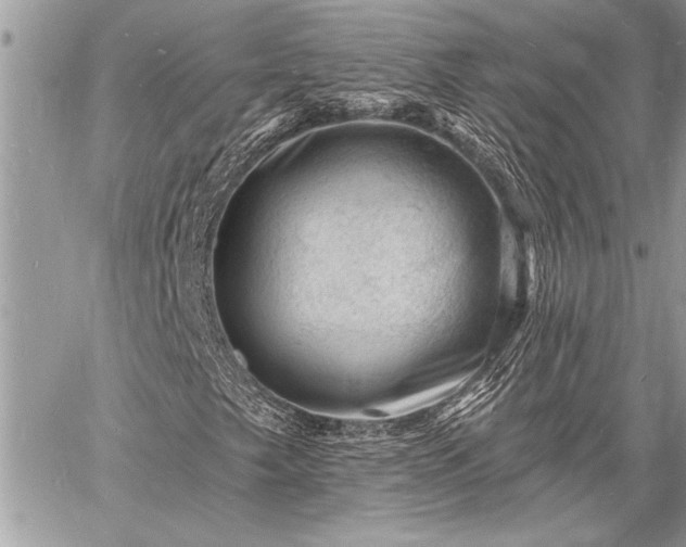 X0000060741249200511141124