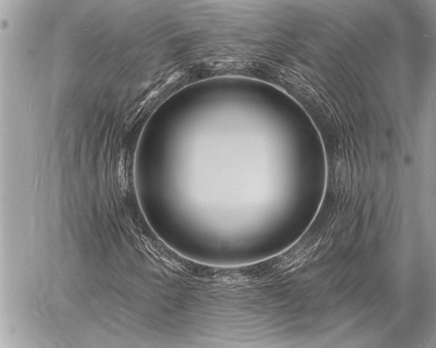 X0000060741250200511141124