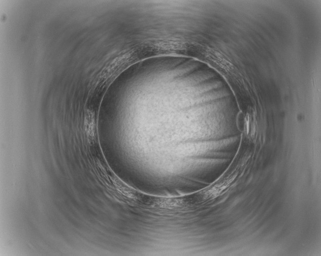 X0000060741251200511141124