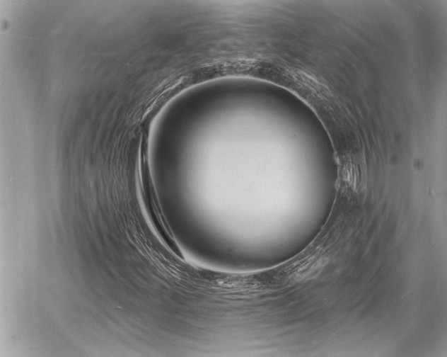 X0000060741252200511141124