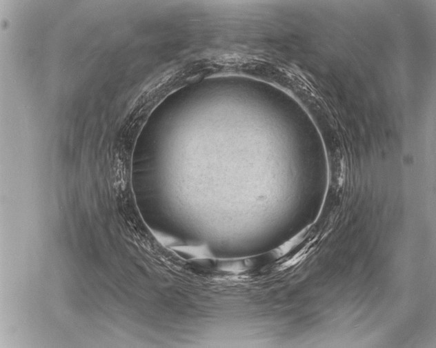 X0000060741253200511141124