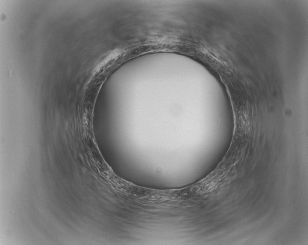 X0000060741254200511141124