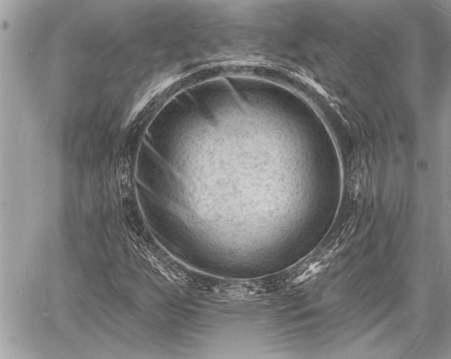 X0000060741255200511141124