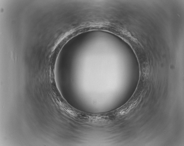 X0000060741256200511141124