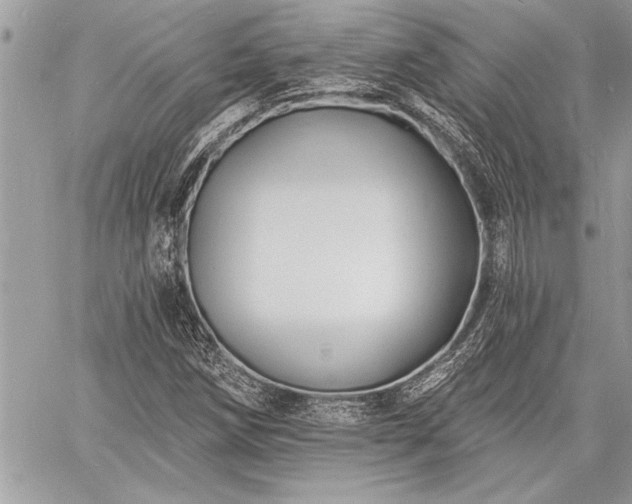 X0000060741258200511141124