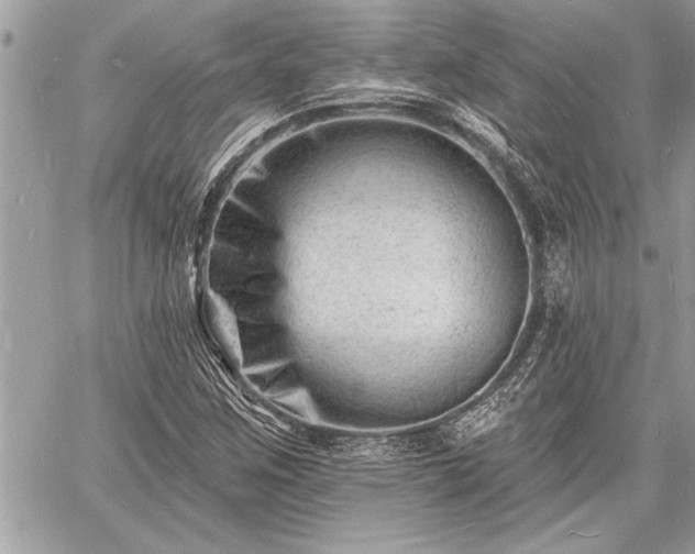 X0000060741259200511141124