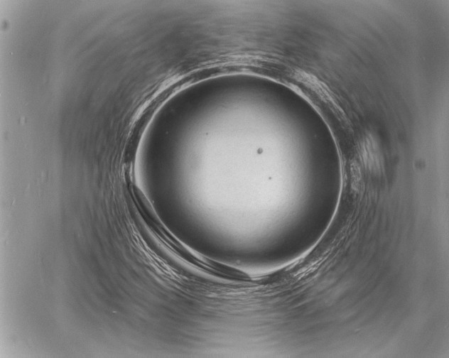 X0000060741260200511141124