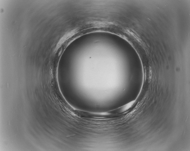 X0000060741261200511141124