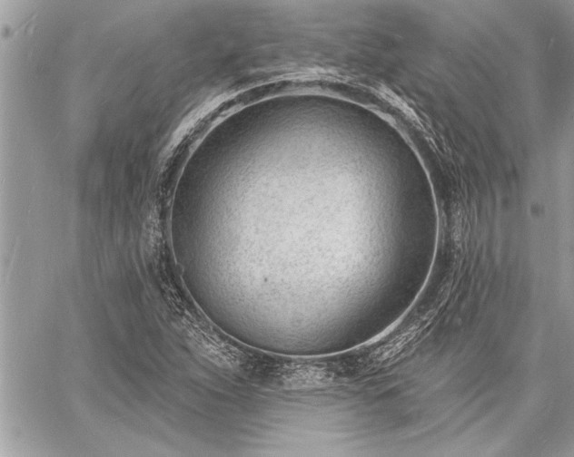 X0000060741263200511141124