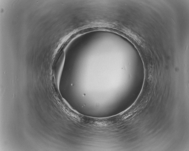 X0000060741264200511141124