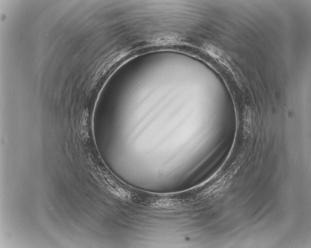 X0000060741265200511141124