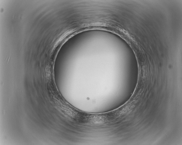 X0000060741266200511141124