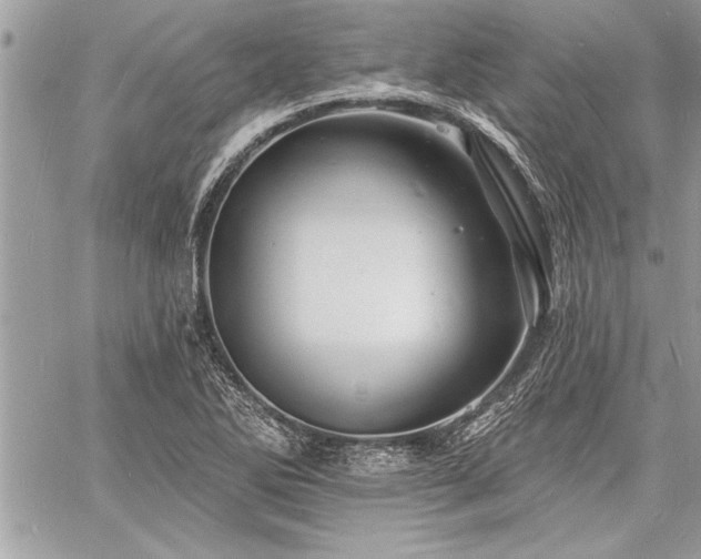 X0000060741270200511141123